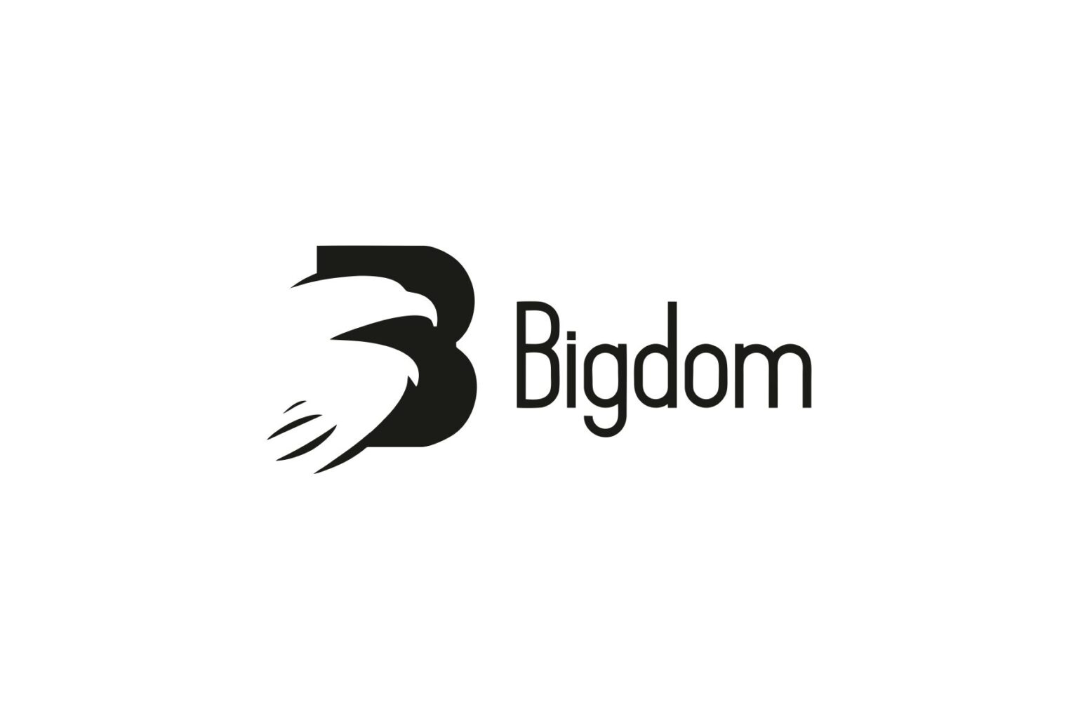 Bigdom Tekstil